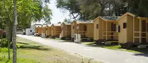 Servicio de Cerrajero en La Rana Verde - Cerrajero La Barrosa